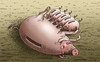 Cartoon: Sparschweinezucht (small) by marian kamensky tagged sparschwein,sparmassnahmen,eu,haushalt,finanzkrise,krise