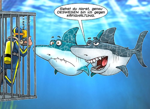 Cartoon: Käfighaltung (medium) by Chris Berger tagged hai,käfig,freilandhaltung,taucher,urlauber,hai,käfig,freilandhaltung,taucher,urlauber