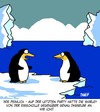 Cartoon: Party (small) by Karsten Schley tagged frauen,kleider,party,pinguine,tiere,natur