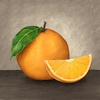 Cartoon: Orange (small) by alesza tagged orange fruit stillife illustration procreate ipadart painting digitalart