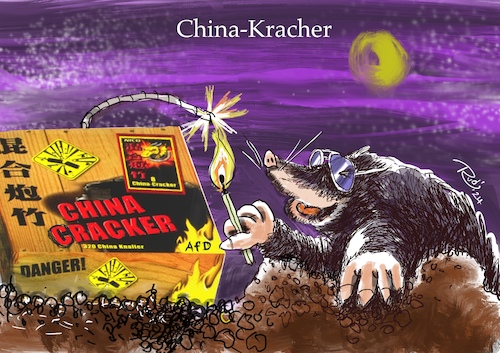 Cartoon: China-Kracher (medium) by Rudissketchbook tagged china,spion,maulwurf,afd,europaparlament,spione,überall