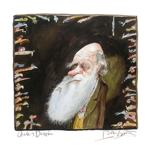 Cartoon: Charles Darwin (medium) by Peter Bauer tagged bauer,peter,evolution,darwin,charles