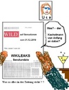 Cartoon: Wikileaks Sexskandale (small) by Ernst Alter tagged wikileaks sex skandal