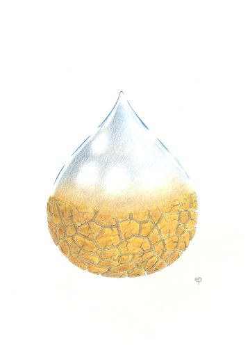 Cartoon: Drying Drop (medium) by Erwin Pischel tagged tropfen,drop,erde,austrocknung,desertification,wüstenbildung,wasser,wassermangel,klimakatastrophe,klimawandel,pischel