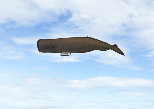 Cartoon: Wal-Zeppelin-Whale-Zeppelin (medium) by Erwin Pischel tagged wal,whale,zeppelin,hybridflugzeug,pischel