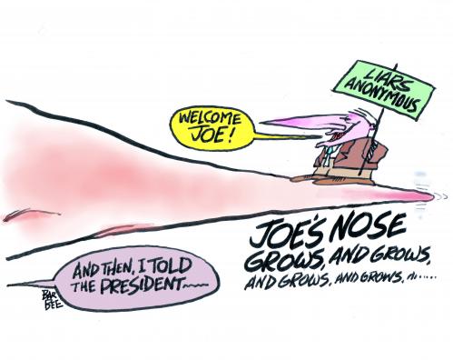 Cartoon: JOES NOSE (medium) by barbeefish tagged the,vp