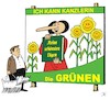 Cartoon: Kandidaturen 2 (small) by JotKa tagged bundestagswahlen,bundeskanzler,kanzlerkandidaten,parteien,die,grünen,politik,wahlen