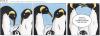 Cartoon: POLE Strip No.21 (small) by Penguin_guy tagged penguins pinguine pets tiere homosexuals gays familie family gender 