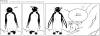 Cartoon: POLE Strip No. 45 (small) by Penguin_guy tagged penguins pinguine pets tiere animals global warming treibhauseffekt erderwaermung umweltverschmutzung pollution summer sommer hot heiss sonne sun