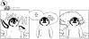 Cartoon: POLE Strip No. 69 (small) by Penguin_guy tagged penguins,pinguine,animals,tiere,atom,bomb,atombombe,tod,verderben,death,war,krieg,guten,morgen,good,morning,yawn,gaehnen,thomas,baehr,klimawandel,climate,change