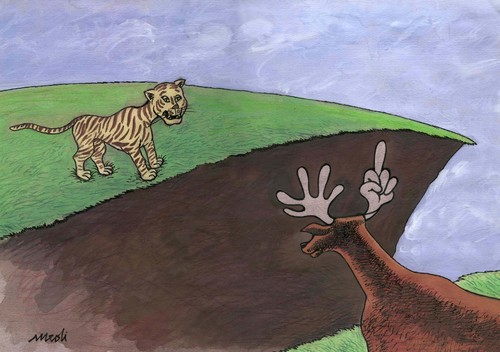Cartoon: tiger and deer (medium) by Medi Belortaja tagged tiger,deer,hunger,hungry,animals