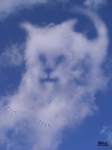 Cartoon: cloud face 25 (medium) by besscartoon tagged wolken,himmel,katze,cloud,face,bess,besscartoon