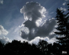 Cartoon: cloud face 18 (small) by besscartoon tagged wolken,himmel,cloud,face,gesicht,bess,besscartoon