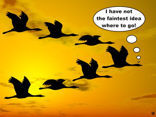 Cartoon: migrant birds (medium) by thalasso tagged migrant,bird,migratory,navigation,satnav,way,finding,searching,lost