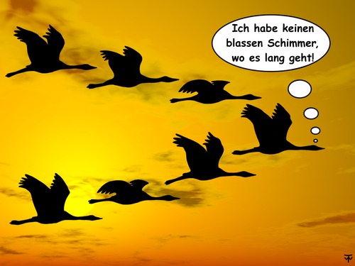 Cartoon: Zugvögel (medium) by thalasso tagged kranich,zugvogel,fliegen,verirren,weg,finden,suchen,navi
