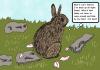 Cartoon: Backyard Bunny Meditation (small) by Tzod Earf tagged comic,bunny