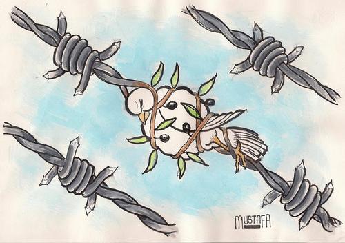 Cartoon: güvercinlik (medium) by mussaygin tagged ustamustafa