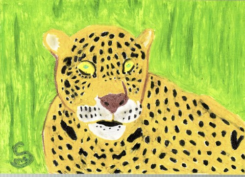 Cartoon: leopard (medium) by XombieLarry tagged leopard,africa,dschungel,katze