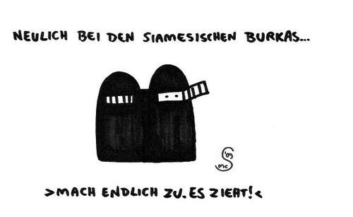 Cartoon: siamesische burkas (medium) by XombieLarry tagged luftzug