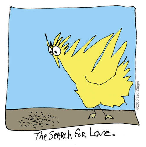 Cartoon: The Search for Love (medium) by ringer tagged animals,birds,love,search