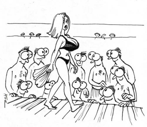 Cartoon: the boardwalk (medium) by r8r tagged boobs,breasts,bikini,beauty,eyeball,ogle,stare,beach,cutie,cleavage,men,man,frau,männer,verhalten,balzverhalten,flirt,flirten,partnersuche,busen,oberweite,brüste,weiblichkeit,bikini,strand,sommer,sexualität,körper,spanner,anstarren,starren,laufsteg,dekollete