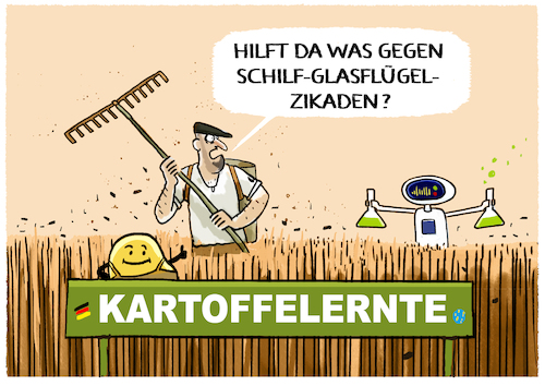 Cartoon: Ernteausfall durch Zikaden... (medium) by markus-grolik tagged cixiidae,glasflügelzikade,kartoffel,kartoffelernte,landwirtschaft,gemüse,deutschland,ernte,bauern,cixiidae,glasflügelzikade,kartoffel,kartoffelernte,landwirtschaft,gemüse,deutschland,ernte,bauern