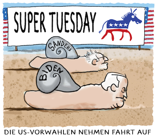 Cartoon: Zweikampf (medium) by markus-grolik tagged us,vorwahlen,biden,sanders,supertuesday,usa,demokraten,us,vorwahlen,biden,sanders,supertuesday,usa,demokraten