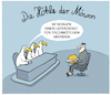 Möwen....