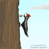 Cartoon: Woodpecker (small) by Mandor tagged woodpecker