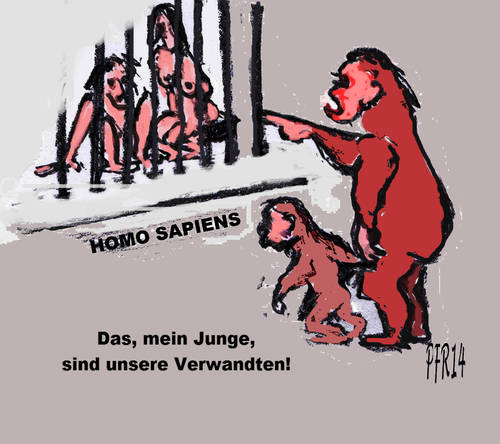 Cartoon: Im Zoo (medium) by reflector tagged tierisches,primaten,menschenaffen,affen,zoo,sapiens,homo
