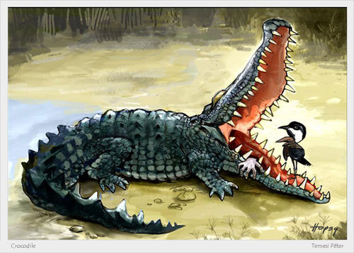 Cartoon: Crocodile (medium) by hopsy tagged crocodile
