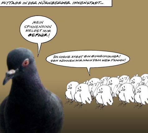 Cartoon: Einheimischer (medium) by wf-artwork tagged tourist,taube,dove,vogel,bird,sigtseeing,comic,humor,tiere,animals