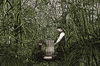 Cartoon: Installers in the jungle (small) by Anjo tagged installer,jungle,installateure,ingenieure,borneo,heizung,radiator