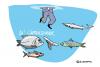 Cartoon: CAPTAINSDINNER (small) by ali tagged fish,fisch,captain,seefahrt,urlaub,meer,kreuzfahrt