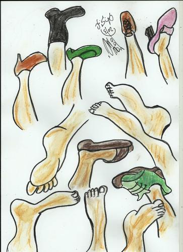 Cartoon: LEGS AND FEET (medium) by AHMEDSAMIRFARID tagged ahmed,samir,farid,egyptair,leg,foot,funny,cartoon,caricature