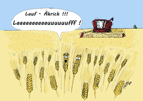 Cartoon: Das Ende einer Ähre (medium) by pierre-cda tagged ähre,getreide,mähdrescher,feld,acker,landwirtschaft