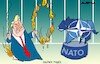 Cartoon: Paper tiger (small) by Amorim tagged nato,trump,iran
