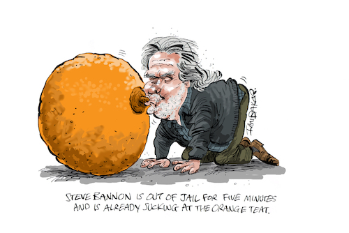 Cartoon: Steve Bannon (medium) by Ian Baker tagged steve,bannon,donald,trump,usa,maga,president,jail,prison,criminal,banker,politics,project,2025,corruption,lies,fake,news,republican,ian,baker,cartoon,caricature,spoof,satire,gag,humour,parody