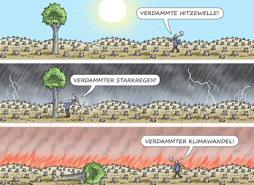 HOLZFÄLLER IN NOT