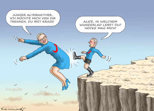 Cartoon: JUNGE ALTERNATIVE (medium) by marian kamensky tagged junge,alternative,afd,weidel,junge,alternative,afd,weidel