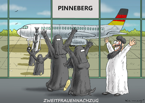Cartoon: ZWEITFRAUENNACHZUG IN PINNEBERG (medium) by marian kamensky tagged zweitfrauennachzug,in,pinneberg,zweitfrauennachzug,in,pinneberg