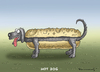 Cartoon: HOT DOG (small) by marian kamensky tagged hot,dog