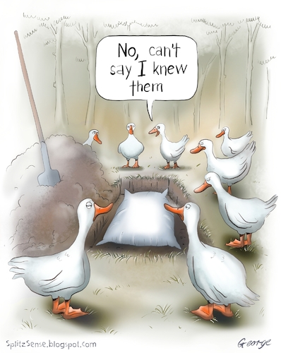 Cartoon: RIP (medium) by George tagged geese,ducks,pillow,rip,geese,ducks,pillow,rip