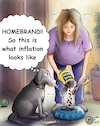 Homebland