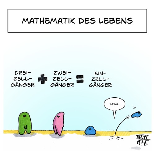 Mathematik des Lebens