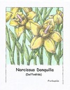 Cartoon: Flowers (small) by armadillo tagged flowers,daffodil
