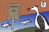 Cartoon: Vögeldisko (small) by zeichenstift tagged birds,vögel,funny,disco,fun,spaß,fliegen,vogeldisko,klamauk,unsinn,witz,tierwelt