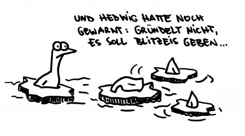 Cartoon: Blitzeis. (medium) by puvo tagged enten,winter,eis