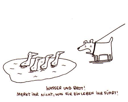 Cartoon: Wasser und Brot. (medium) by puvo tagged wasser,water,brot,bread,duck,ente,hund,dog