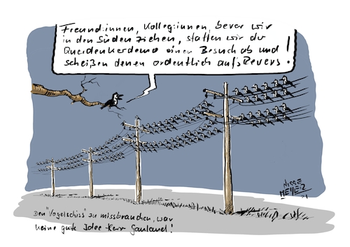 Cartoon: Angeschissen... (medium) by Jori Niggemeyer tagged vogelschiss,alexandergauland,afd,querdenker,noafd,vögel,rache,vergeltung